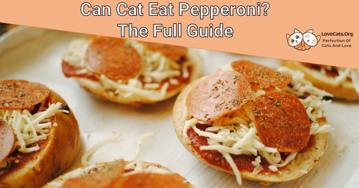 Can Cats Eat Pepperoni?