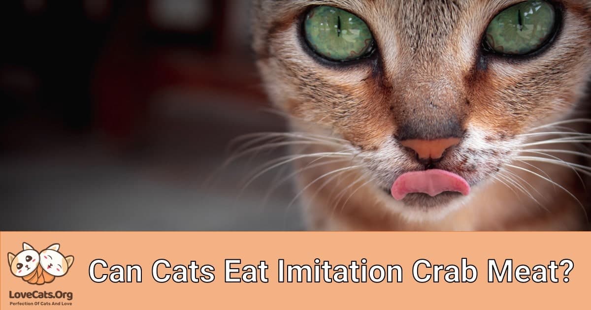 Can Cats Eat Imitation Crab Meat?