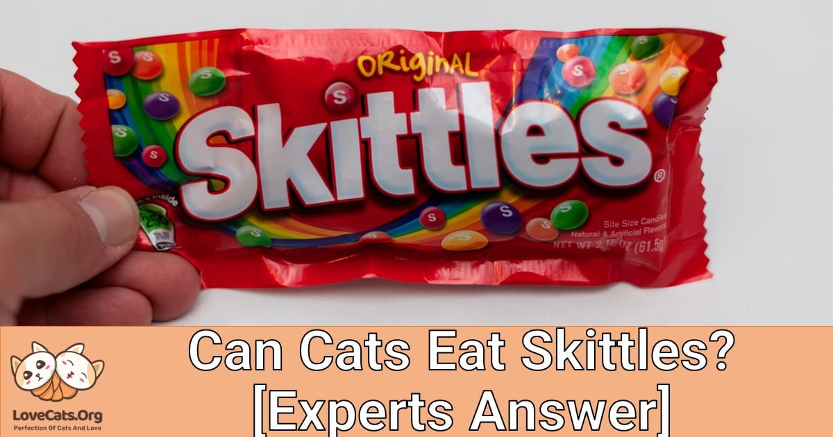 Can Cats Eat Skittles? [Experts Answer]