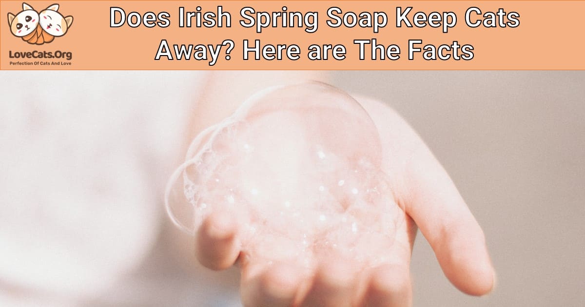 Does Irish Spring Soap Keep Cats Away? Here are The Facts