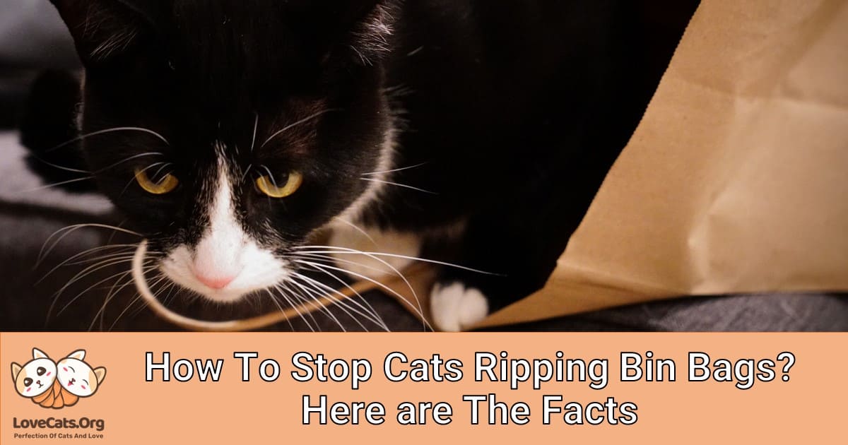 How To Stop Cats Ripping Bin Bags? Here are The Facts